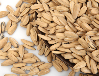 一起找回童年的記憶!看中超聯(lián)賽時(shí)怎能少了它