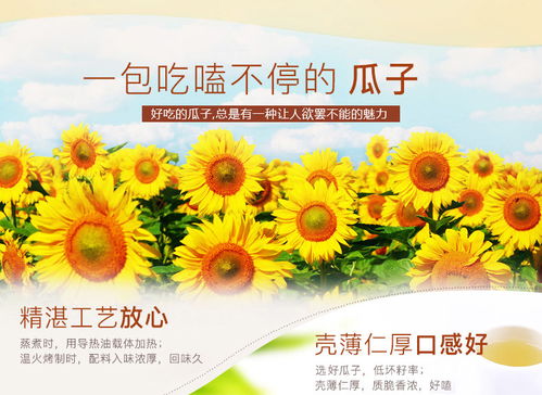 福先生焦糖 核桃 原味 五香瓜子1500g500g葵花籽可混搭炒貨零食