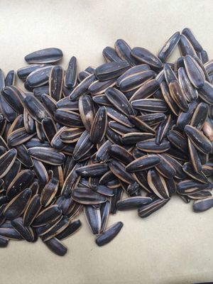 五香瓜子 傳統(tǒng)與創(chuàng)新的堅果炒貨之選