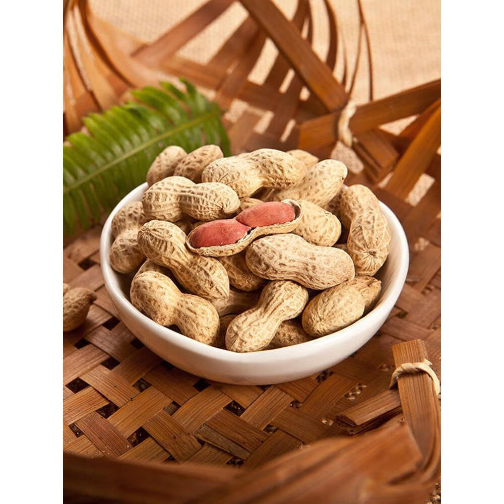 雋顏堂童年記五香瓜子 500g大包裝，帶你重溫湖南風(fēng)味